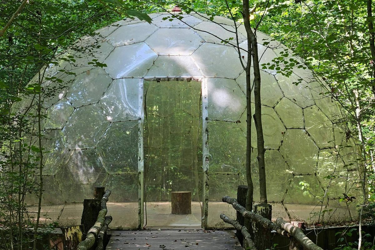 Img Fad76f20df7e4dfd95965fee91c9ab