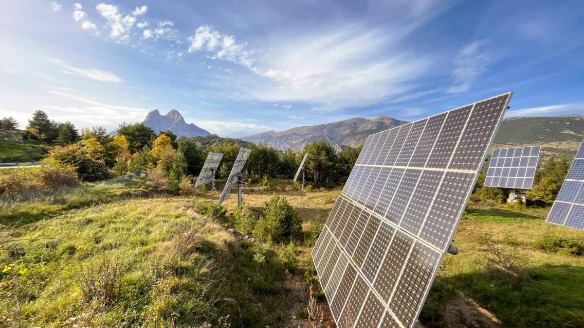 Img Ff3e7c8e1dba3b1f25a5196afb2531f