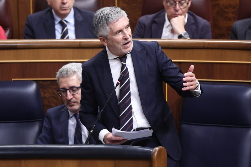 Europapress 7442190 Ministro Interior Fernando Grande Marlaska Pleno Congreso Diputados