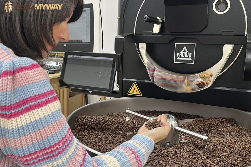 Comprobando Granos De Cafe