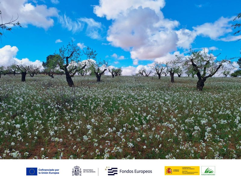 Imagen Ndp Esilok