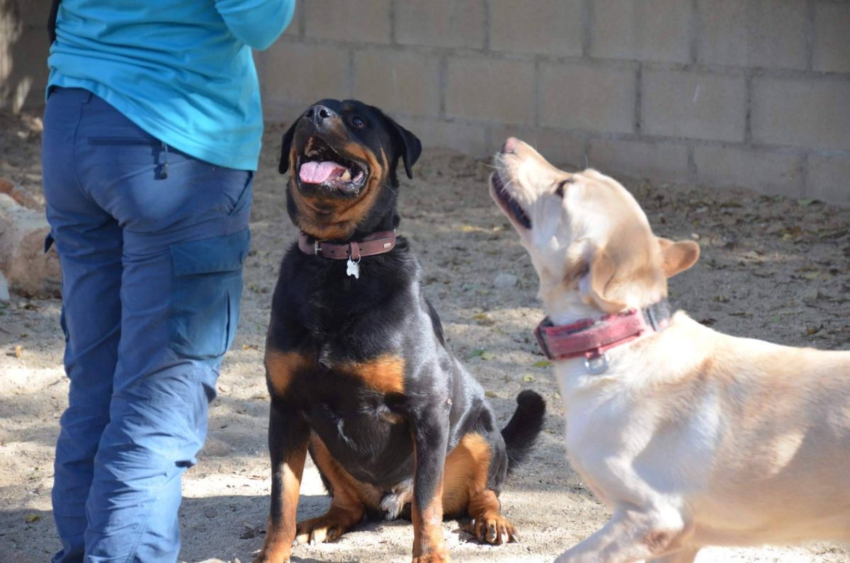 Img 27ae2eb11d9778d0eb82b18ca7e366bf