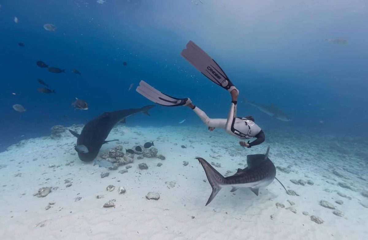 Img 42828125785702a83afe8a16f3a