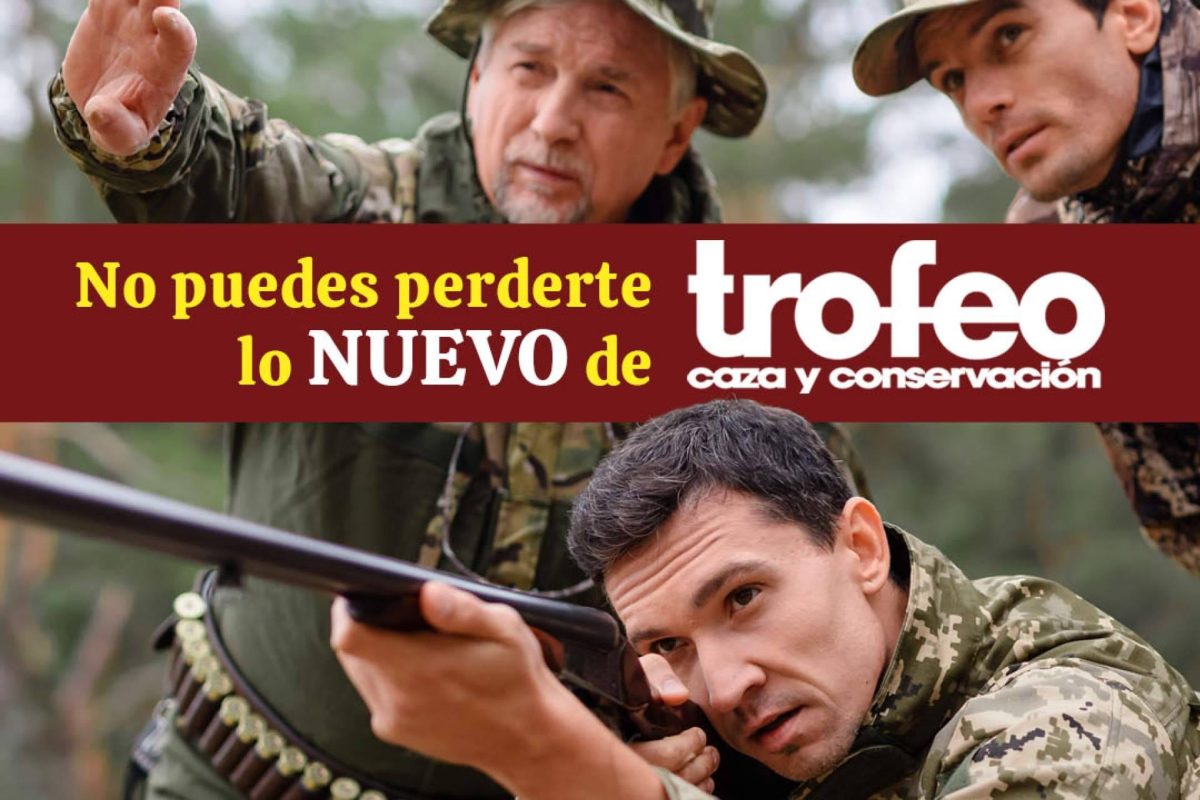 Img 97dcb182130444005276277a9d