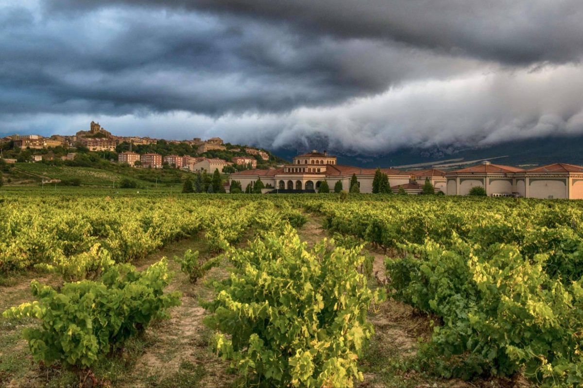 Img Cfdd7d57f3ba398fdf92909f0a073f0f