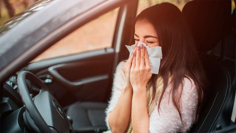 Alergica Al Volante