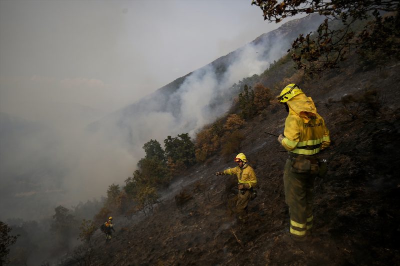 Europapress 6907579 Varios Bomberos Forestales Tratan Extinguir Fuego 19 Agosto 2025 Palacios