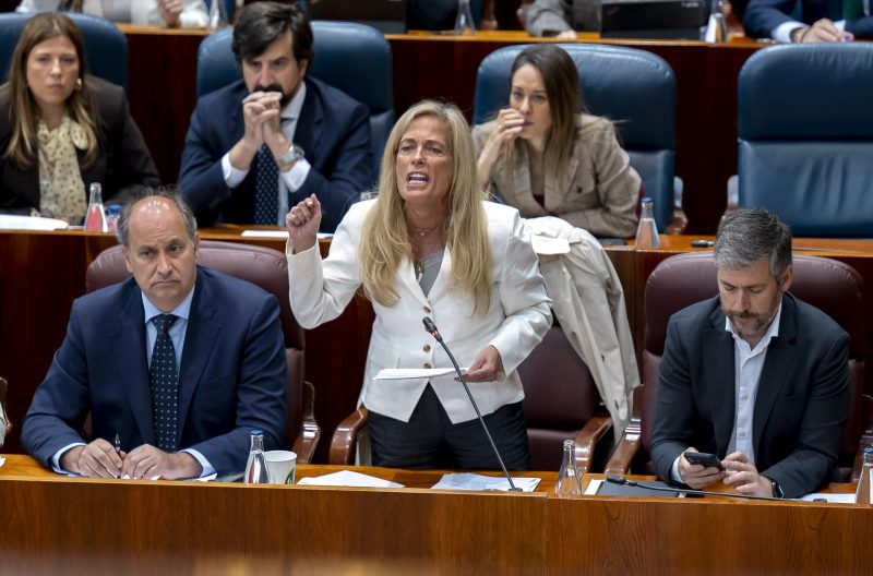 Europapress 7425550 Consejera Economia Hacienda Empleo Comunidad Madrid Rocio Albert Pleno