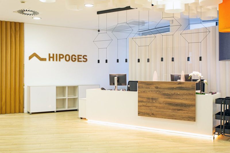 Hipoges New Logo
