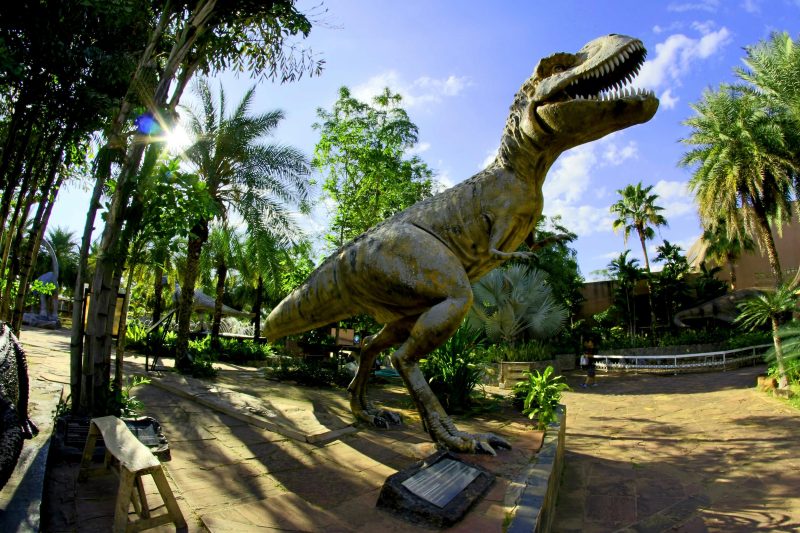 Dino