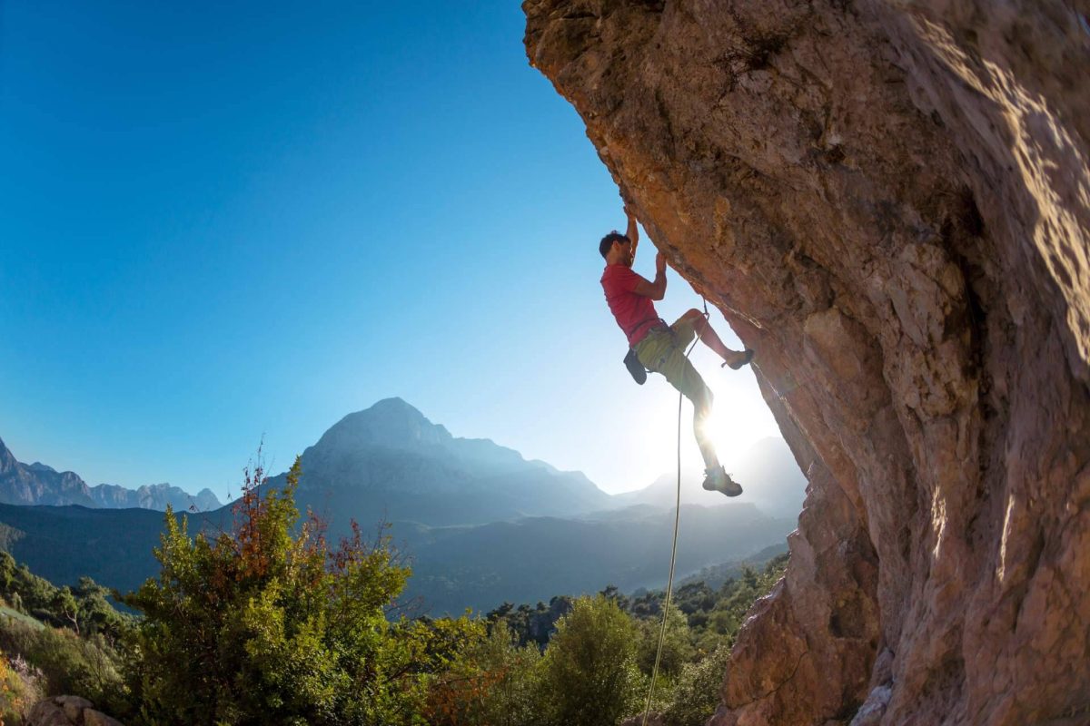 Img A542c6011baeb8507b46b8d22cab