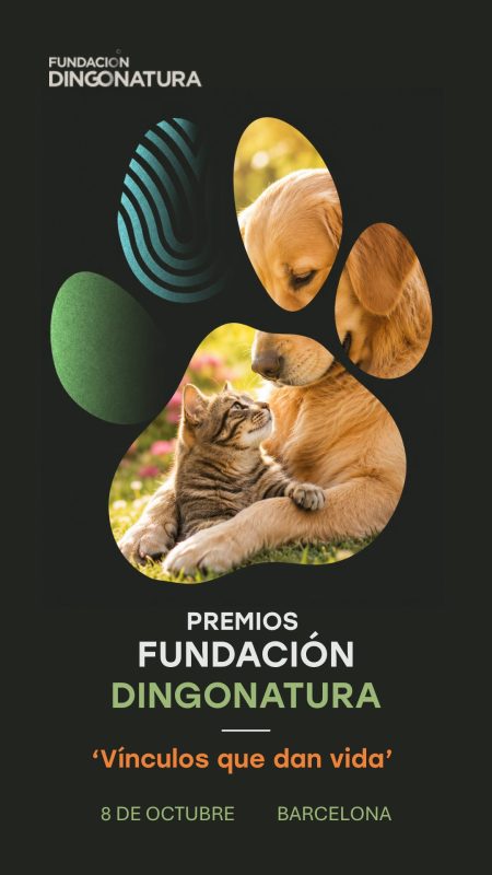Portada Vdeo Fundaci Dingonatura