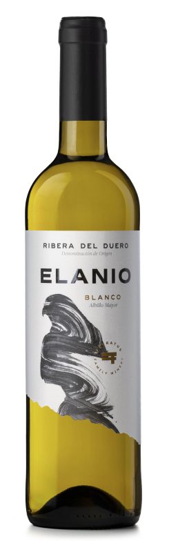 Elanio Blanco