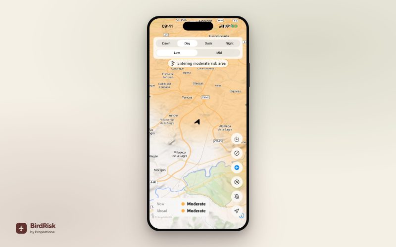 Birdrisk Mockup Iphone